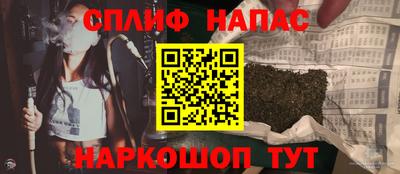 ECSTASY Новозыбков