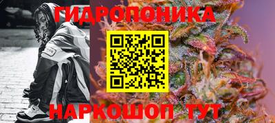 ECSTASY Новозыбков
