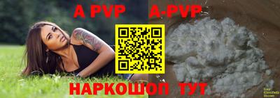 ECSTASY Новозыбков