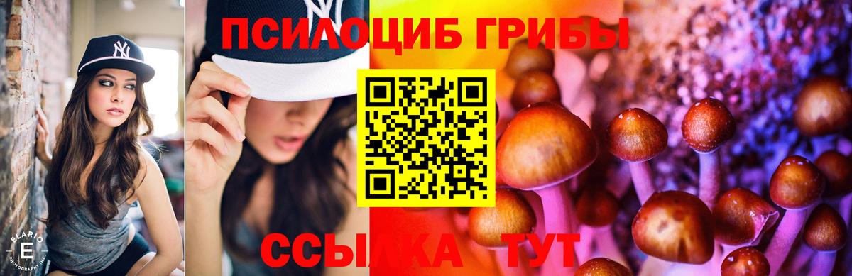 Псилоцибиновые грибы ЛСД  Псилоцибиновые грибы прущие грибы  Вход с VPN  Новочебоксарск 